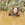 Cropped_25_13356