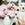 Cropped_25_13355