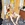 Cropped_25_13106