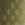 Cropped_25_13032