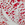 Cropped_25_13120
