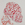 Cropped_25_13116