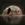Cropped_25_12795
