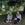 Cropped_25_12642