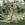 Cropped_25_12641