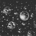 Cropped_75_7160894200_4cc48f1415_z
