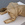 Cropped_25_12573