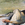 Cropped_25_12226