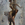 Cropped_25_12178