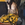 Cropped_25_12177