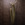 Cropped_25_12036