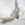 Cropped_25_12035