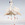 Cropped_25_11979