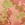 Cropped_25_2158