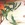 Cropped_25_3723