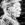 Cropped_25_3729