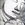 Cropped_25_3737