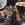 Cropped_25_12651