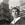 Cropped_25_14139