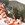 Cropped_25_10993