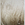 Cropped_25_10995