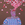 Cropped_25_10803
