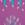 Cropped_25_10604