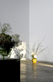 Proportional_280_10427