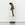 Cropped_25_11769