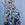 Cropped_25_5799