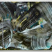 Cropped_75_proportional_710_cooke