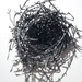 Cropped_75_proportional_710_medusa_3