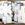 Cropped_25_9788