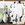 Cropped_25_9782