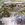 Cropped_25_5119
