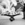 Cropped_25_5992