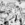 Cropped_25_5991
