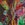 Cropped_25_4929