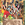 Cropped_25_4895