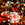 Cropped_25_4894
