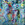 Cropped_25_4851