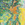 Cropped_25_4849