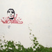 Cropped_75_6982254943_900d24d2cd_z