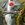Cropped_25_9326