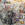 Cropped_25_7284