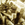 Cropped_25_7280