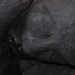 Cropped_75_10095