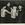 Cropped_25_8957