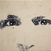 Cropped_75_4927