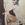 Cropped_25_8900